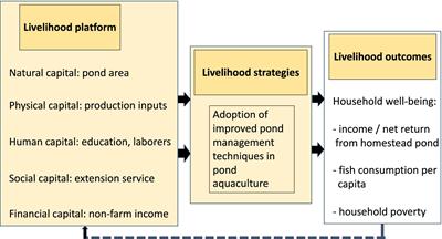 Analyzing the adoption of nutrition-sensitive carp-SIS polyculture technology: evidence from a case study in Bangladesh